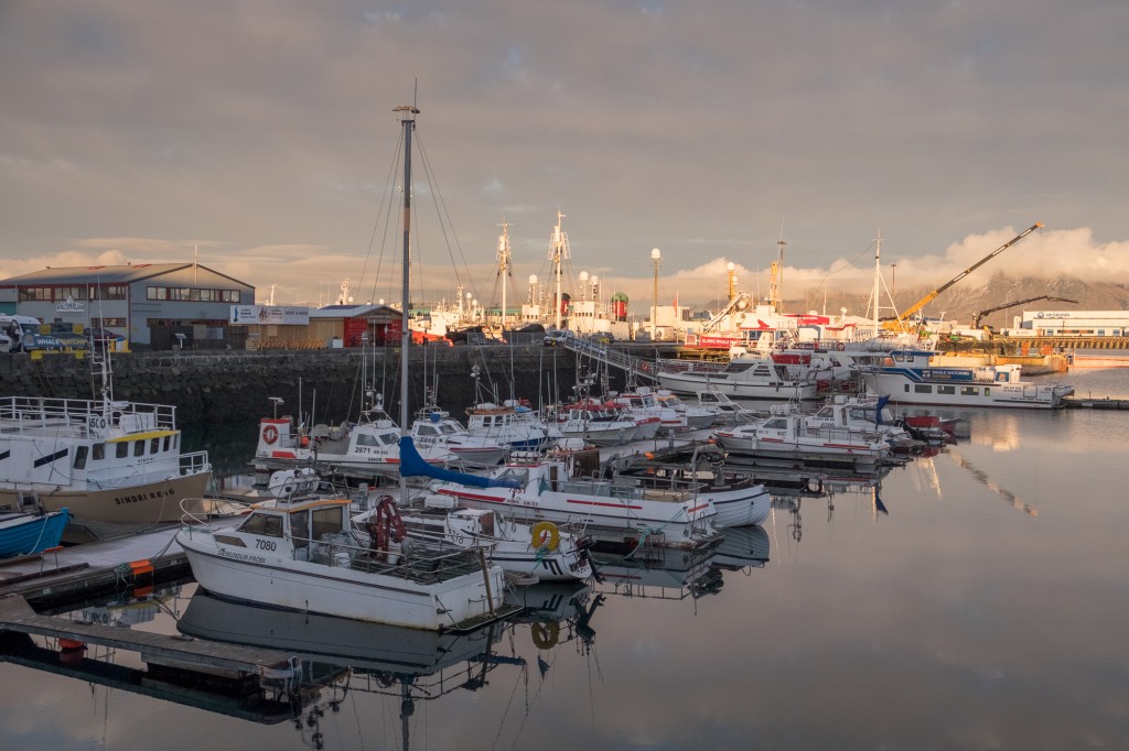 Boats at the Old Harbour, Reykjavik.